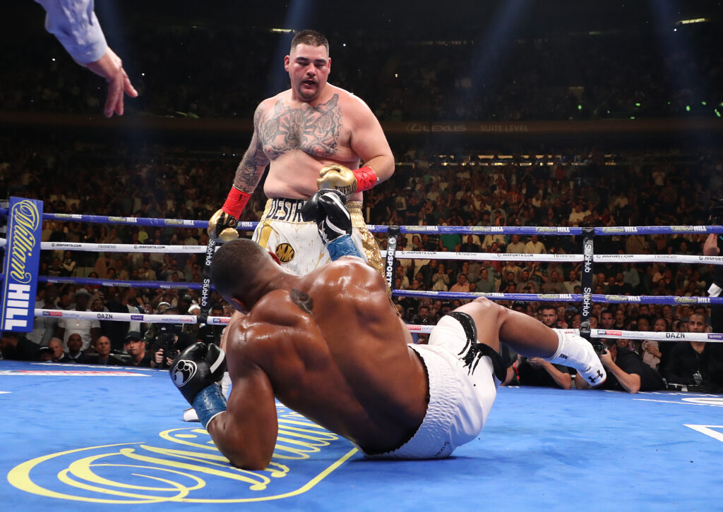 Anthony Joshua v Andy Ruiz Jr.