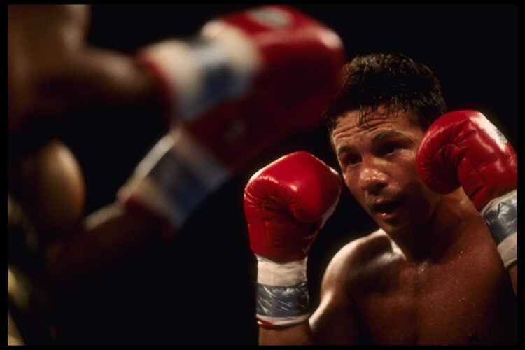25 Jun 1995:  Boxer Vinny Pazienza defends against the punches of opponent Roy Jones Jr. Jones retained his International Boxing Federation Super m...