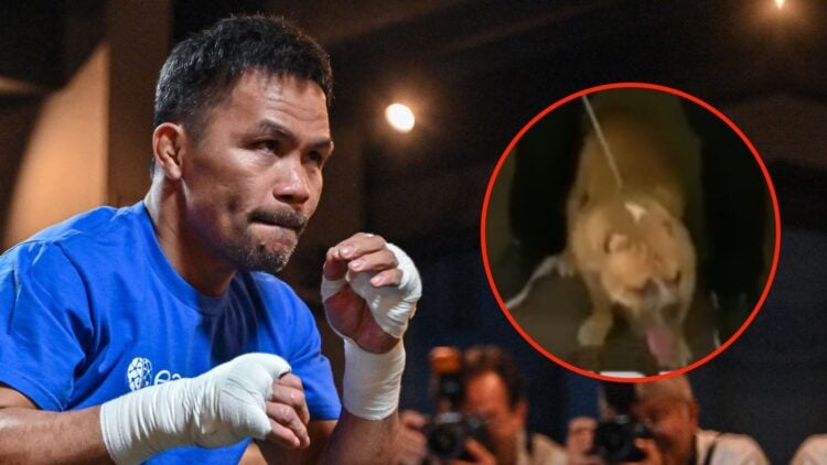 Philippine boxing legend Manny Pacquiao warms up for a training session at a gym in central Tokyo on July 25, 2024, three days ahead of his three-r...