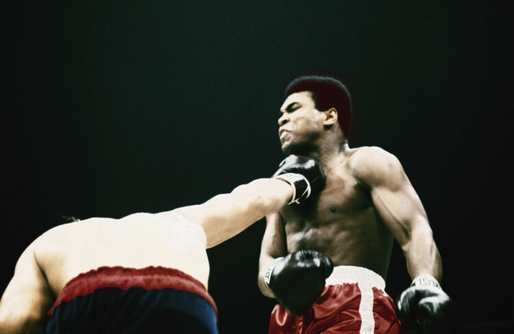 (Original Caption) Muhammad Ali (Cassius Clay) is hit by Argentine boxer Oscar Bonavena in 15th round action of their Madison Square Garden heavywe...