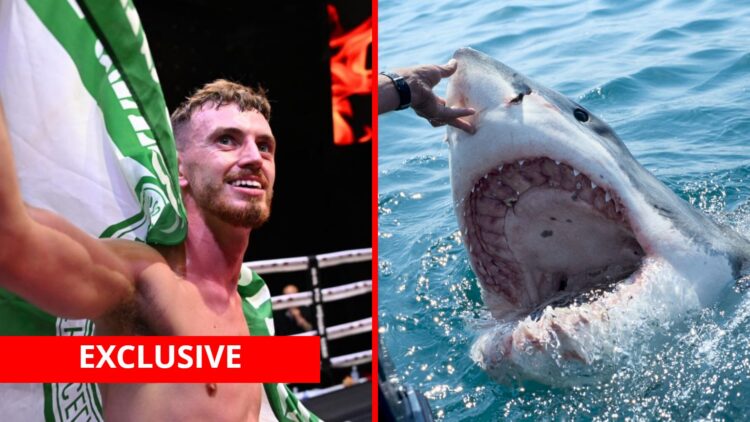 Split image of Sam Rennie celebrating a win and a great white shark with exclusive banner