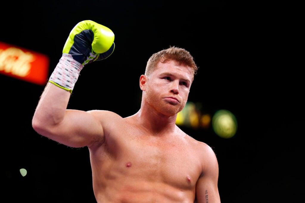 Canelo Alvarez in the ring before his WBO light heavyweight title fight with Sergey Kovalev in November, 2019.